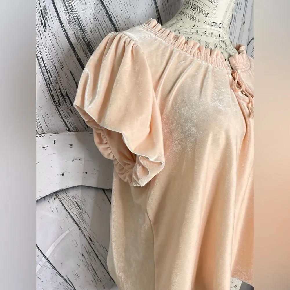 Free People Terese Velvet Top in Peach L